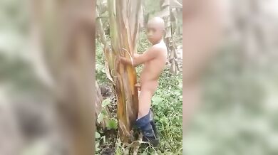 MARLBOROQUEENSEX – NGENTOT POHON PISANG