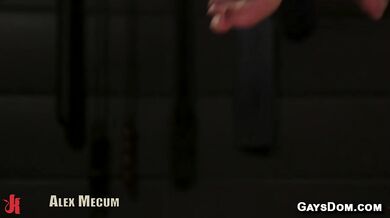 Alex Mecum Casey Jacks BDSM Punishment