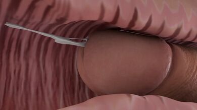 ▪ Dirty Teacher Opens Wide For Student’s Cock – Creamy Desk Finish