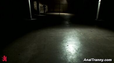 Hot Shemale Mistress Fucks Slave