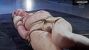 x1x3E33CE23915AE1A6F0